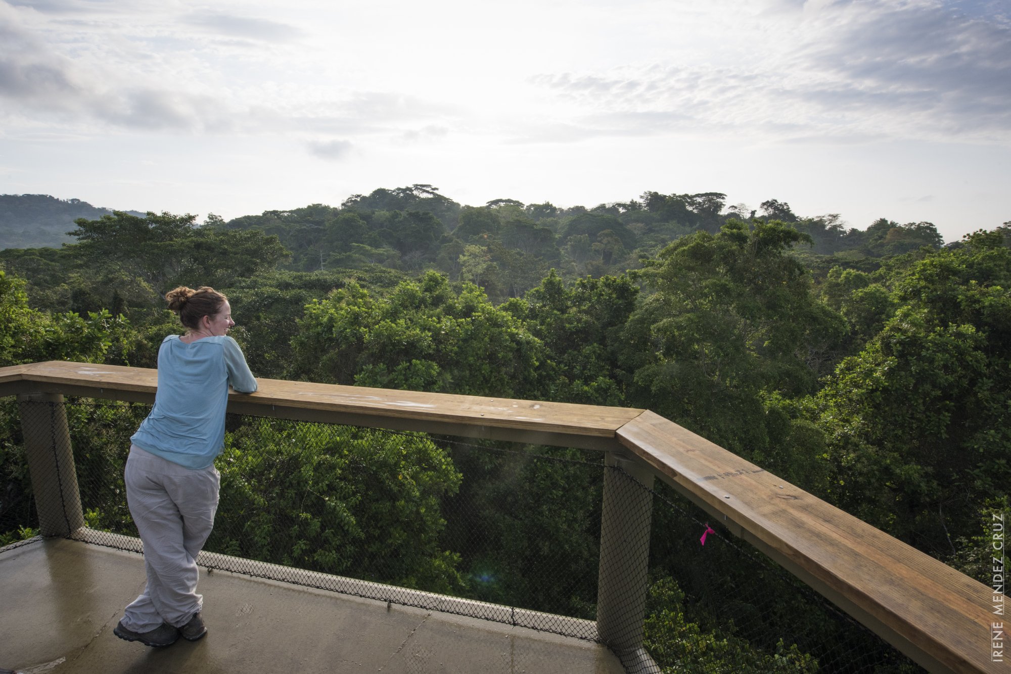 Panama Rain Forest Discovery Center